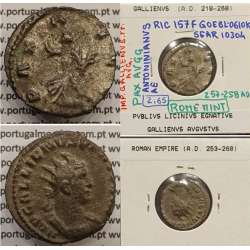GALLIENUS - ANTONINIANO - IMP GALLIENVS PF AVG / PAX AVGG (257-258 d.C) (253 d.C A 268 d.C )