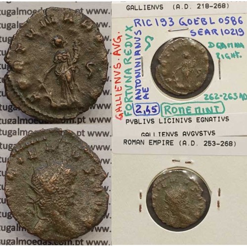 ALLIENUS - ANTONINIANO - GALLIENVS AVG / FORTVNA REDVX (262-263 d.C) (253 d.C A 268 d.C