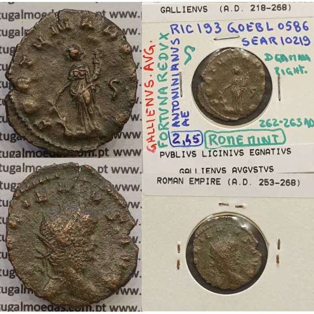 ALLIENUS - ANTONINIANO - GALLIENVS AVG / FORTVNA REDVX (262-263 d.C) (253 d.C A 268 d.C