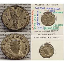 GALLIENUS - ANTONINIANO - GALLIENVS AVG / PAX AVG (260-268 d.C) (253 d.C A 268 d.C )
