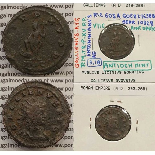 GALLIENUS - ANTONINIANO - GALLIENVS AVG / PM TR P XV PP (264-266 d.C) (253 d.C A 268 d.C