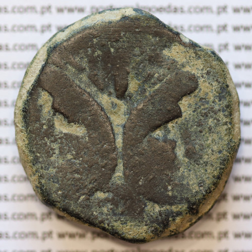 MOEDA ASSE “AS” BRONZE DA REPÚBLICA ROMANA FAMÍLIA “POMPEIA” (ANO 45 a.C.) “CNAEUS POMPEY JUNIOR” LEGENDA (CN MAG)