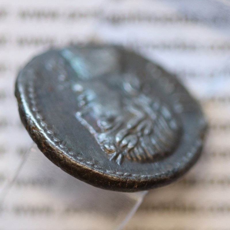 MOEDA DENÁRIO PRATA DA REPÚBLICA ROMANA FAMÍLIA “VIBIA” (ANO 90 a.C.) LEGENDA (PANSA / C. VIBIVS. C. F.)