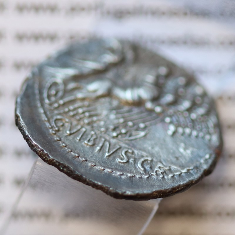 MOEDA DENÁRIO PRATA DA REPÚBLICA ROMANA FAMÍLIA “VIBIA” (ANO 90 a.C.) LEGENDA (PANSA / C. VIBIVS. C. F.)