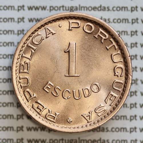Angola 1 Escudo 1972 Bronze, (1$00 Escudo 1972 Angola), (Soberba), Ex-Colónia Angola, World Coins Angola KM 76