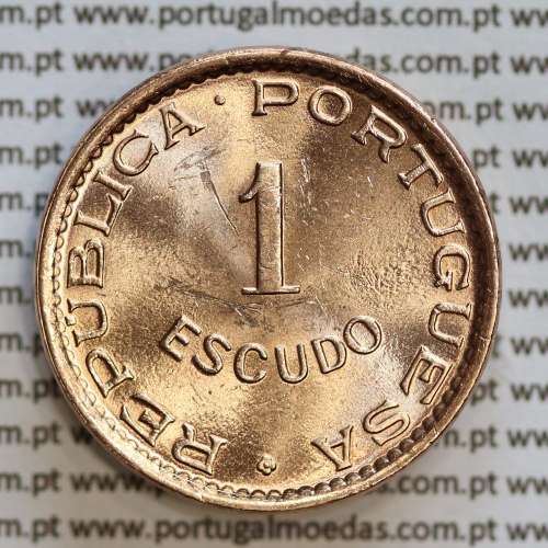 Angola 1 Escudo 1974 Bronze, (1$00 Escudo 1974 Angola), (Soberba), Ex-Colónia Angola, World Coins Angola KM 76