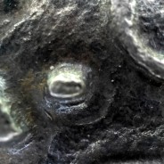 Meio Tostão prata 1641 de D. João IV, Inédito, no anverso pontos por baixo da Flor de Lis, ✤IOANNES IIII DG REX.PO, Muito Rara