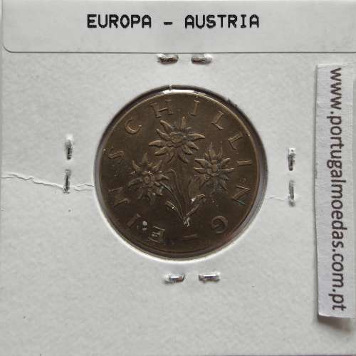 Áustria 1 Schilling 1961 Bronze-Aluminío, World Coins Austria KM 2886, coin of 1 schiling 1961 Aluminium-bronze