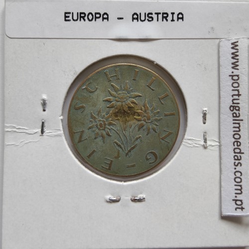 Áustria 1 Schilling 1965 Bronze-Aluminío, World Coins Austria KM 2886, coin of 1 schiling 1965 Aluminium-bronze