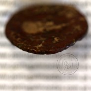 Augustus, Asse Æ, Calagurris, 27a.C. 14d.C, Legenda: IMP AVGVST PATER PATRIAE / M. CA. I. L. VALENTINO L. NOVO II. VIR, RPC 445