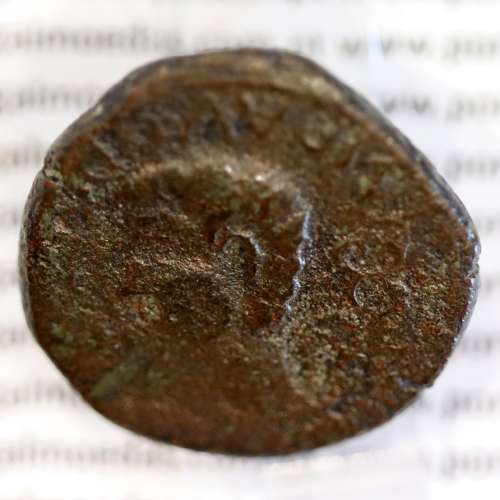Roman coin of Augustus, Æ AS Luco Augusti 12 BC, attributed to the Cantabrian wars, IMP. AVG. DIVI. F., RPC 4, Burgos 1705