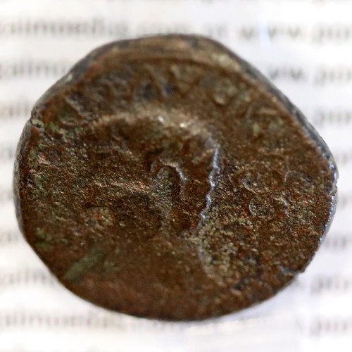Roman coin of Augustus, Æ AS Luco Augusti 12 BC, attributed to the Cantabrian wars, IMP. AVG. DIVI. F., RPC 4, Burgos 1705