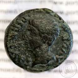 Roman coin of Augustus, AE As of Ebora, Portugal, PERM CAES AVG P M / LIBERAL IVLIAE EBOR, very rare, Burgos 902, Gomes 01.02