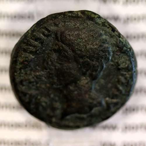Roman coin of Augustus, AE As of Ebora, Portugal, PERM CAES AVG P M / LIBERAL IVLIAE EBOR, very rare, Burgos 902, Gomes 01.02