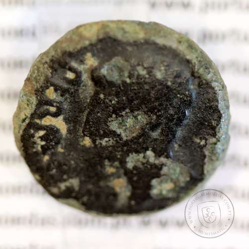 Roman coin of Augustus, AE As Ebora, Portugal, PERM CAES AVG P M / LIBERAL ITATIE IVLIAE EBOR, Burgos 901, Gomes 01.01, RIC 51