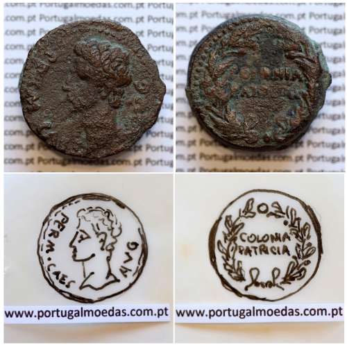 Roman coin of Augustus, AE As of Colonia Patricia, Hispania, Legend:  PERM. CAES AVG/ COLONIA PATRICIA, RPC 129, Burgos 1989