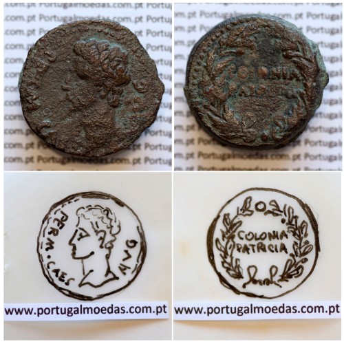 Augustus, Asse Bronze, Colonia Patricia, Imperador Augusto, (20 a.C. a 18 a.C.), Legenda: PERM. CAES AVG/ COLONIA PATRICIA