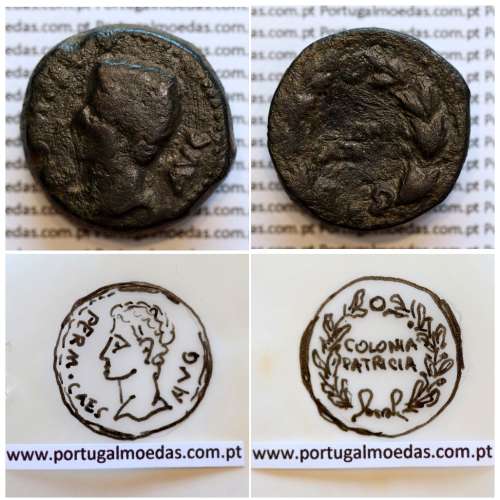 Augustus, Asse Bronze, Colonia Patricia, Imperador Augusto, (20 a.C. a 18 a.C.), Legenda: PERM. CAES AVG / COLONIA PATRICIA