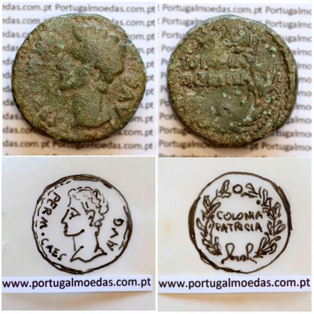Roman coin of Augustus, AE As of Colonia Patricia, Hispania, Legend:  PERM. CAES AVG/ COLONIA PATRICIA, RPC 129, Burgos 1989