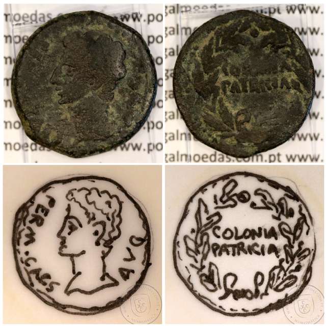 Roman coin of Augustus, AE As of Colonia Patricia, Hispania, Legend:  PERM. CAES AVG/ COLONIA PATRICIA, RPC 129, Burgos 1989