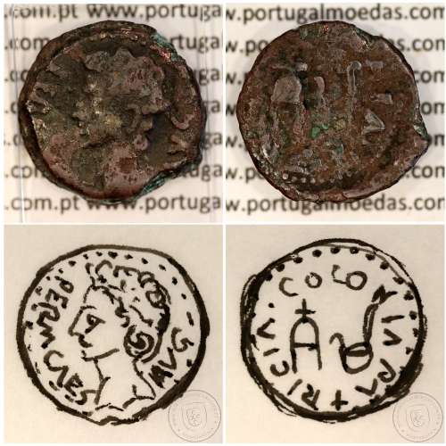 Roman coin of Augustus, AE Semis of Colonia Patricia, Hispania, Legend:  PERM. CAES AVG/ COLONIA PATRICIA, RPC 130, Burgos 1992