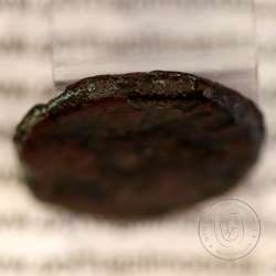 Roman coin of Augustus, AE Semis of Colonia Patricia, Hispania, Legend:  PERM. CAES AVG/ COLONIA PATRICIA, RPC 130, Burgos 1992