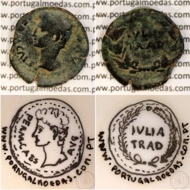 Roman coin of Augustus, Æ As of Ivlia Tradvcta, Hispania, Legend:  PERM. CAES AVG/ IVLIA TRAD, RPC 108, SEAR 551, Burgos 1614