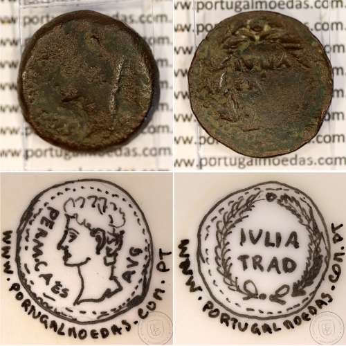 Augustus, Asse Bronze, Julia Traducta, Imperador Augusto, (11 a.C.), Legenda: PERM. CAES AVG / IVLIA TRAD, RPC 108, Cohen 151