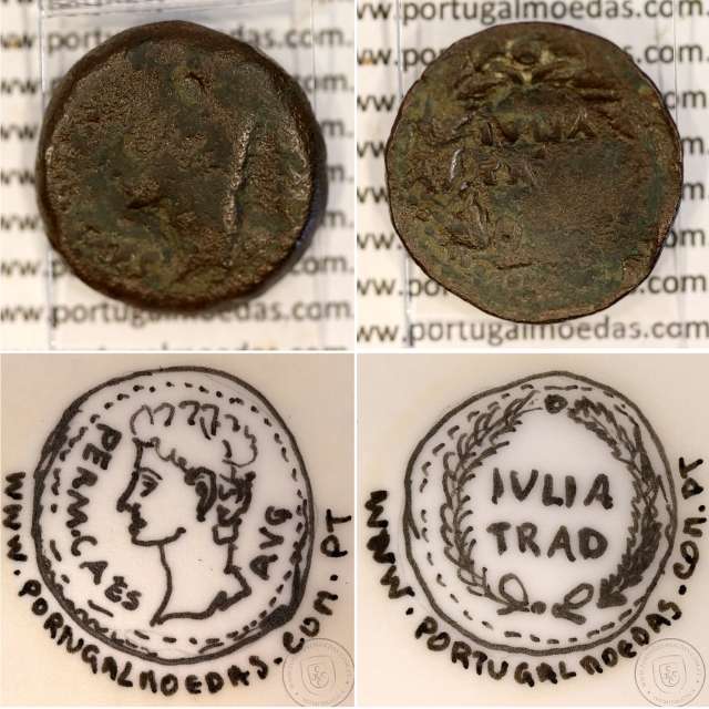 Roman coin of Augustus, Æ As of Iulia Traducta, Hispania, Legend:  PERM. CAES AVG/ IVLIA TRAD, RPC 108, Burgos 1614, SEAR 551