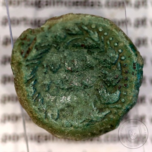 Roman coin of Augustus, Æ As of Julia Traducta, Hispania, Legend:  PERM. CAES AVG/ IVLIA TRAD, Burgos 1614, RPC 108, SEAR 551