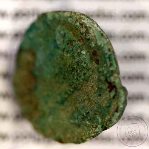 Roman coin of Augustus, Æ As of Julia Traducta, Hispania, Legend:  PERM. CAES AVG/ IVLIA TRAD, Burgos 1614, RPC 108, SEAR 551