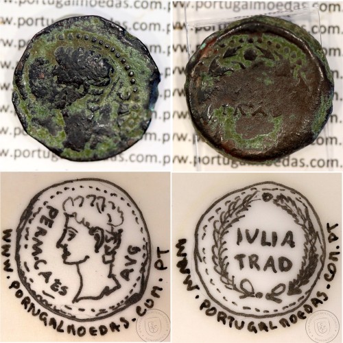 Augustus, Asse Bronze, Julia Traducta, Imperador Augusto, (11 a.C.), Legenda: PERM. CAES AVG / IVLIA TRAD, RPC 108, Burgos 1614