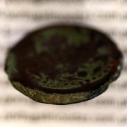 Roman coin of Augustus, Æ As of Iulia Traducta, Hispania, Legend:  PERM. CAES AVG/ IVLIA TRAD, Burgos 1614, RPC 108, SEAR 551
