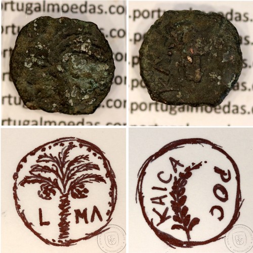 Augustus, Æ Prutah, Judeia, Marcus Ambibulus procurador de Augustus, Jerusalém ano 9-12 d.C., Legenda: L-MA / KAICA-POC, RPC4957