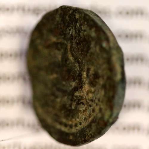 Augustus, Semis Æ, Carteia - Hispania, (27 a.C. a 14 d.C.), Legenda: CARTEIA / D.D., RPC 122