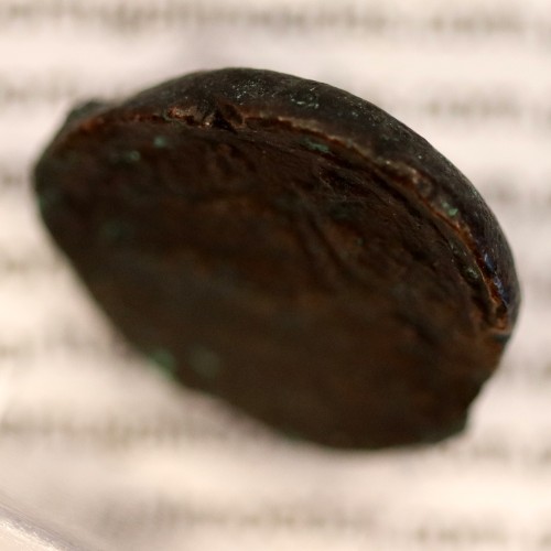 Augustus,  Semis Æ coin of Hispania city Carteia, (27 a.C. a 14 d.C.), Legenda: CARTEIA / D.D., RPC 122 Burgos 662