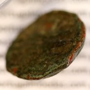Augustus, Semis Æ, Carteia - Hispania, (27 a.C. a 14 d.C.), Legenda: CARTEIA / D.D., RPC 122