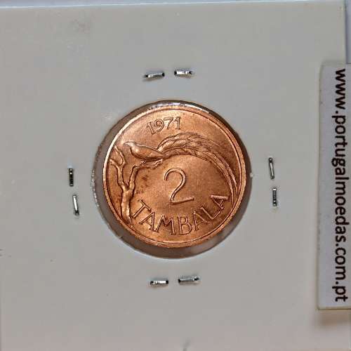 Malawi 2 Tambala 1971 Bronze, (Bela), World Coins Malawi KM 8