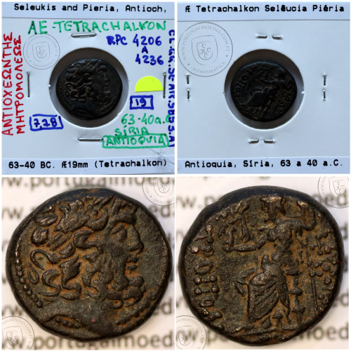 Selêucia Piéria Æ Tetrachalkon Bronze, Antioquia, Síria, ano incerto entre 63 e 40 a.C. Legenda: ΑΝΤΙΟΧΕΩΝ ΤΗΣ / ΜΗΤΡΟΠΟΛΕΩΣ