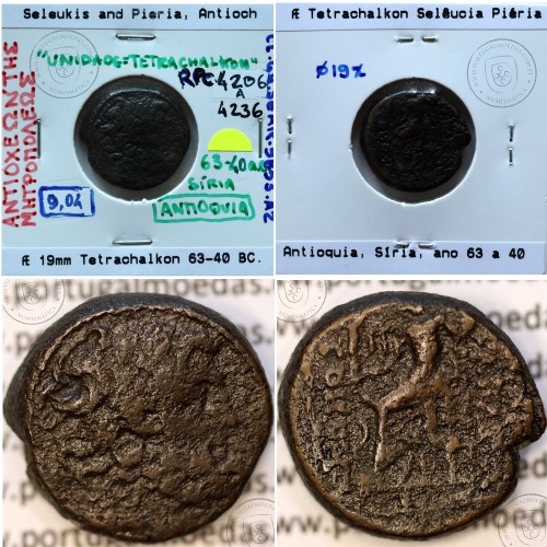 Selêucia Piéria Æ Tetrachalkon Bronze, Antioquia, Síria, ano incerto entre 63 e 40 a.C. Legenda: ΑΝΤΙΟΧΕΩΝ ΤΗΣ / ΜΗΤΡΟΠΟΛΕΩΣ