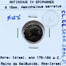 Reino da Selêucida ANTIOCHUS IV EPIPHANES ano 175-164 a.C., Æ Hemichalque serratus, Ake (Israel), legenda BAΣIΛEΩΣ ANTIOXOY