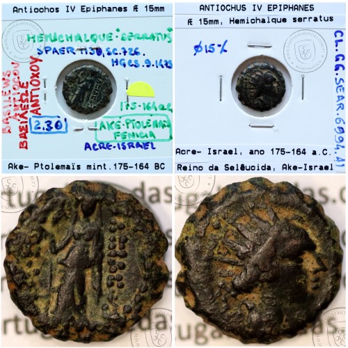Reino da Selêucida ANTIOCHUS IV EPIPHANES ano 175-164 a.C., Æ Hemichalque serratus, Ake (Israel), legenda BAΣIΛEΩΣ ANTIOXOY