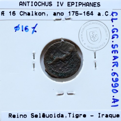 Reino da Selêucida ANTIOCHUS IV EPIPHANES ano 175-164 a.C., Æ 16 Chalkon, Tigre (Iraque), legenda BAΣIΛEΩΣ ANTIOXOY, Sear 6990
