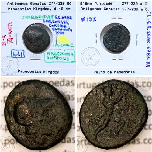 Reino da Macedônia Æ 18, Antigonos Gonatas 277-239 a.C., Legenda: B-A ANT, Sear 6786
