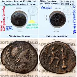 Ancient greeK coin, Macedonian Kingdom, AE 20, Antigonos Gonatas 277-239 BC, (Sear 6786)
