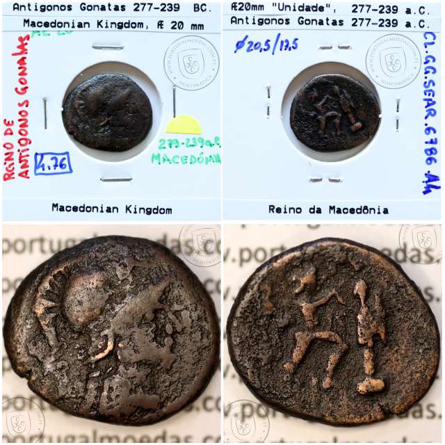 Ancient greeK coin, Macedonian Kingdom, AE 20, Antigonos Gonatas 277-239 BC, (Sear 6786)