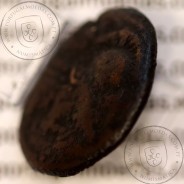 Ancient greeK coin, Macedonian Kingdom, AE 20, Antigonos Gonatas 277-239 BC, (Sear 6786)