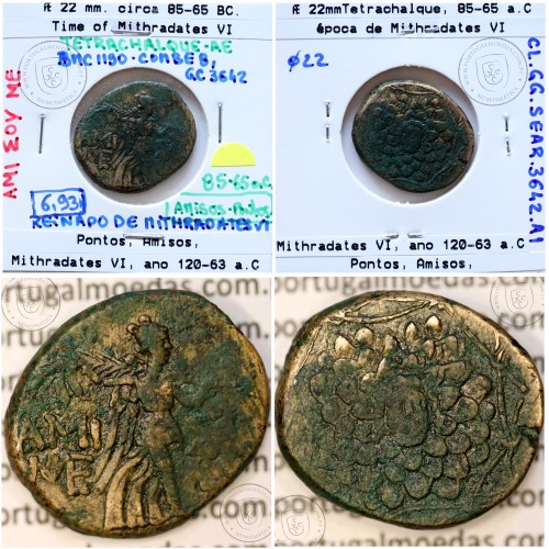 Pontos, Amisos, Æ22 (Tetrachalque), ano 85-65 a.C., época de Mithradates VI, ano 120-63 a.C., Pontos, legenda: AMI-ΣOY