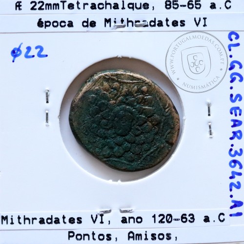 Pontos, Amisos, Æ22 (Tetrachalque), ano 85-65 a.C., época de Mithradates VI, ano 120-63 a.C., Pontos, legenda: AMI-ΣOY