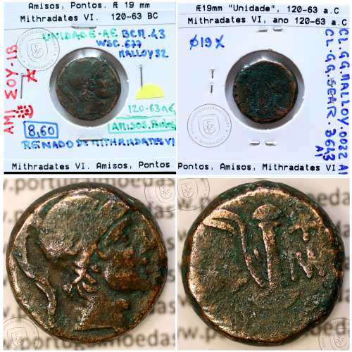 Pontos, Amisos, reino de Mithradates VI, ano 120-63 a.C., Æ19 (Unidade), Pontos ( atual Samsun naTurquia), legenda: AMI-ΣOY IB